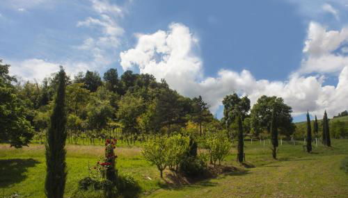 Agriturismo Il Cavicchio - Photo 5, Garden