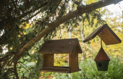 Old Chestnut Vacation Home - Foto 46