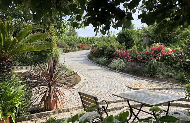 Rebenhaus Meißen - Foto 35