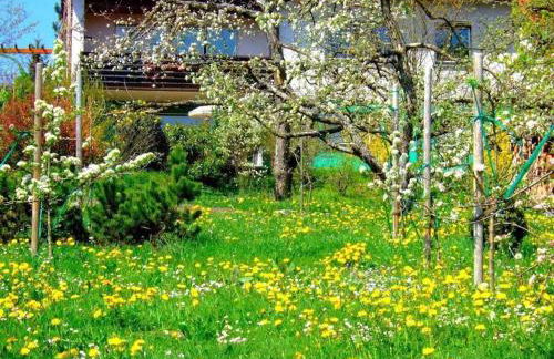 Holiday apartment with 1 bedroom - Foto 1