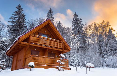 Górskie Wytchnienie Domki Karkonosze - Photo 62