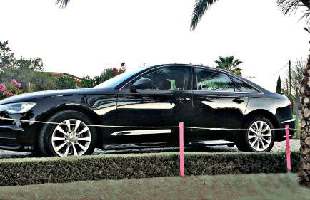 Acroploro - Photo 26