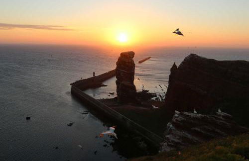 Gaestehaus Cap Hoorn - Foto 6