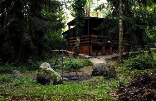 Okno na las - Foto 9