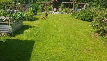 Ferienhaus Haigrub - Foto 2