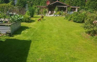 Ferienhaus Haigrub - Foto 2