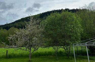 CAN appart spacieux avec grand jardin et terrasse 1 à 8 pers - Foto 22