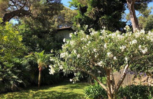 Villa de Charme au coeur du Cap-Ferrat - Photo 37