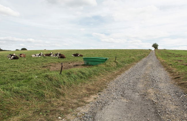 Sumptuous Chalet in Septon with Sauna & Hot Tub - Photo 62