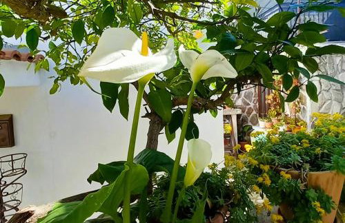 Apartments Donda - Photo 33