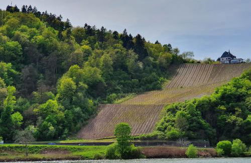 Zur Königslay - Foto 50
