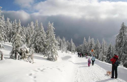 Ferienhaus mit Wellnessbereich in Elend - Foto 25