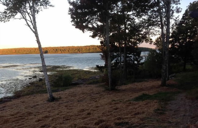 Clamshell By The Sea - Photo 19