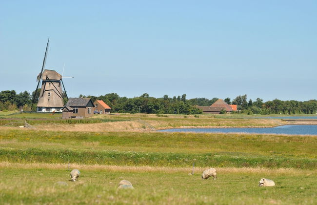 Lovely Holiday Home in Texel Near Sea - Foto 75