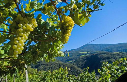 Brugger Hof - Foto 25