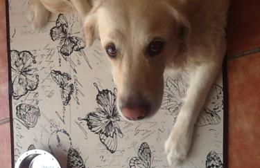 Apartamentos Villa Nadine - Foto 52