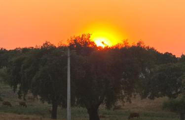 Casa Azul Oase da Natureza em Recanto - Foto 19