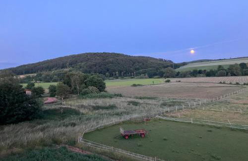 Mellys Café & Store - Foto 12