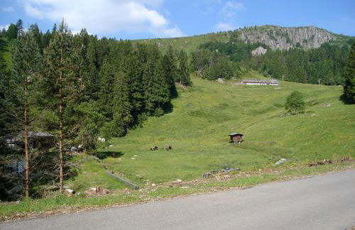 Le Chalet du Tanet spa sauna terrasse en Alsace - Foto 65