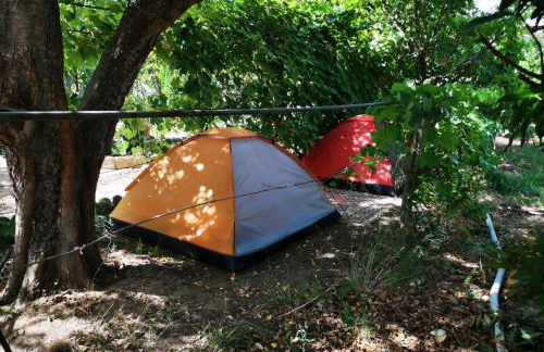 Pinnettu sardo casa di campagna in ecosistema insetti e animaletti simpatici in condivisione,Leggere attentamente Prima di prenotare - Foto 14