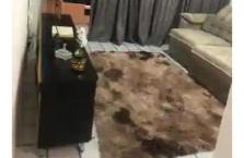 Apartamento para alugar são João campina grande - Foto 2