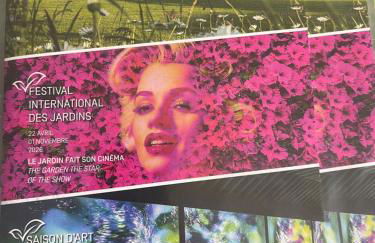 Chat-Douillet - Foto 21