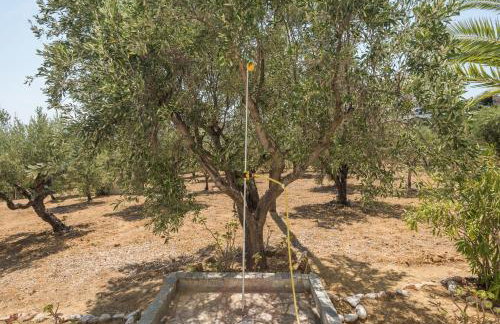 Villa Mariana - Foto 37