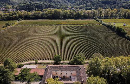 Domaine de Coubillou - Foto 46