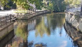 100m zum Ulmer Münster: 57m² Wohnung an der Blau - Foto 5