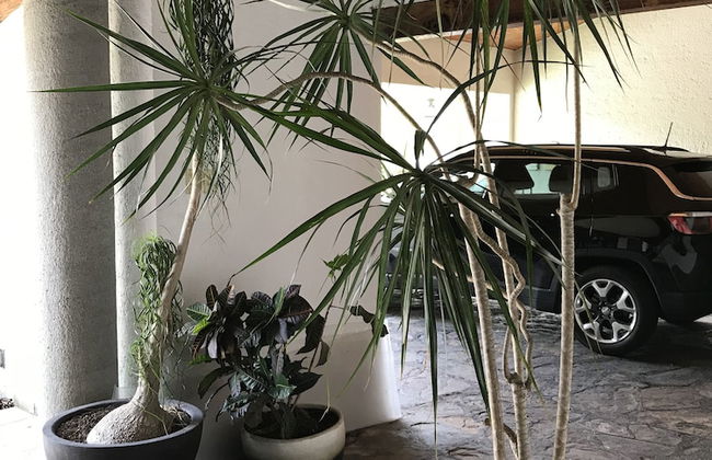 Cuernavaca Hermosa y Amplia Casa - Foto 12