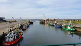 FeWo-Butze 2 mit Terrasse - Foto 2