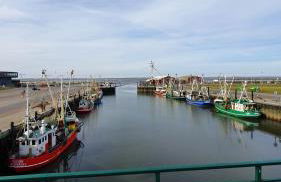 FeWo-Butze 2 mit Terrasse - Foto 2