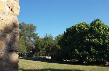 Case de Campo "El Caroche" Alojamientos, Retiros y Eventos - Foto 43