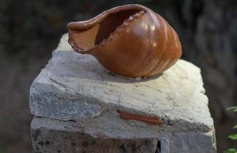 Miranta's Cottage - Photo 47