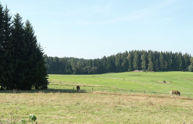 Holiday Home Beerheide Near Ski Slopes - Photo 24