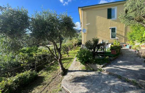 Il Paradiso di Adriana - Foto 33