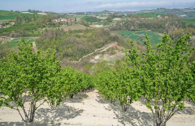 Hillview Langhe Apartment - Foto 37