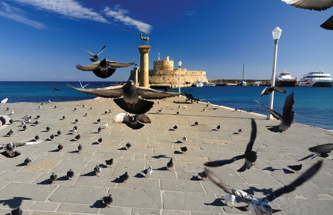 Rhodes & Lindos & Butterfly Valley - Excursión privada de medio día - Foto 4