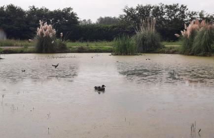 MUSEO GAR-AgriHotel - Foto 35