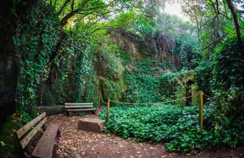 Casas Rurales Las Cuevas El Rincón - Foto 27