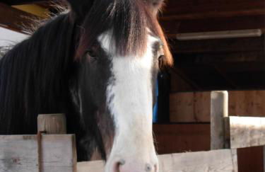 Agriturismo Tra Serra e Lago - Foto 38
