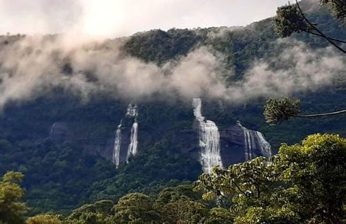 Casa das Araucárias - Sítio Salamandra, Vale do Matutu - Foto 16