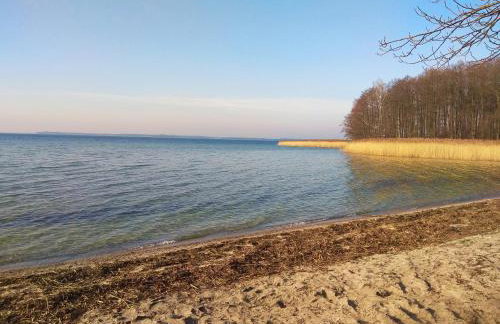 W starej szkole - agroturystyka - Foto 66