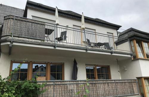 Bio-Ferienweingut Leyendecker - Foto 54