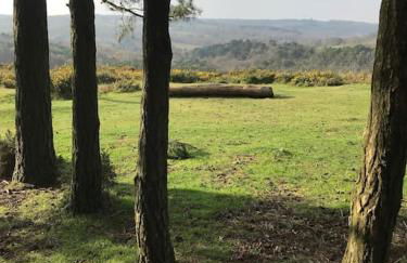 Swanky & Spacious Luxury 3 Bed - Foto 19