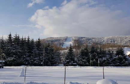 Apartament u Sikorki - Foto 18