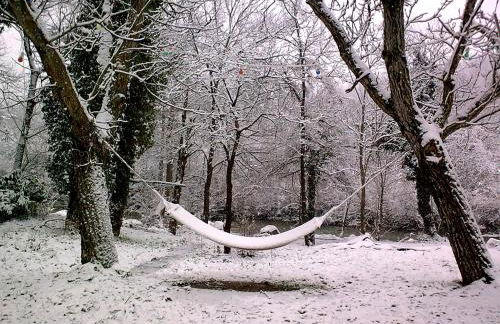 La Cartiera dei Benandanti - Foto 95