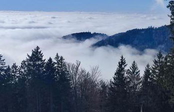 Two bedroom Apartment in Sankt Englmar, Bavaria - Foto 27