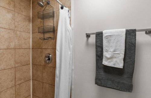 Unit 7: Updated downtown 1 bedroom! - Photo 8