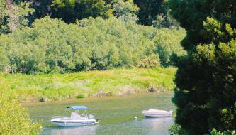 Just Like Home - Guarda Rios - Foto 4